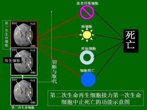 首页-人生就是博中国官方网站