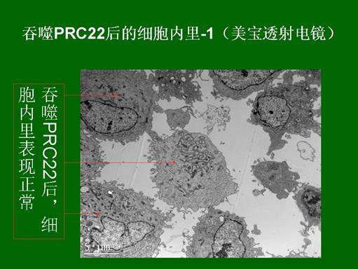 首页-人生就是博中国官方网站