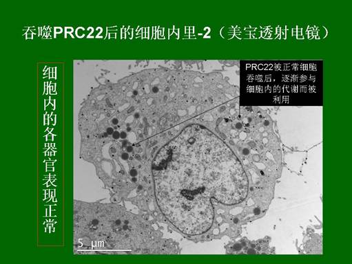 首页-人生就是博中国官方网站
