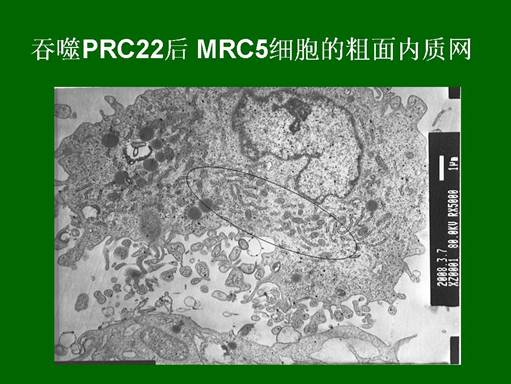 首页-人生就是博中国官方网站