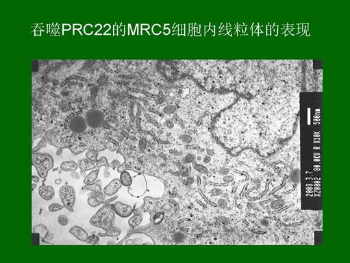 首页-人生就是博中国官方网站