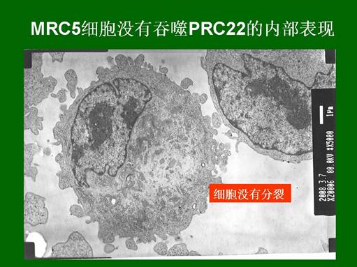 首页-人生就是博中国官方网站