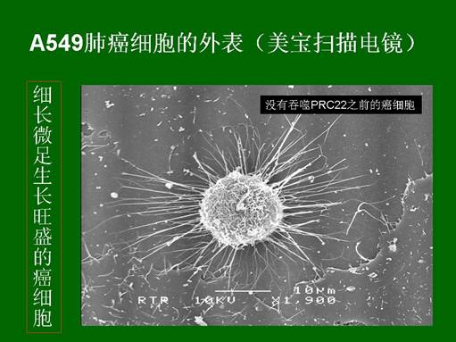 首页-人生就是博中国官方网站