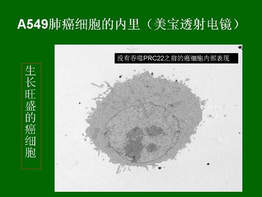 首页-人生就是博中国官方网站