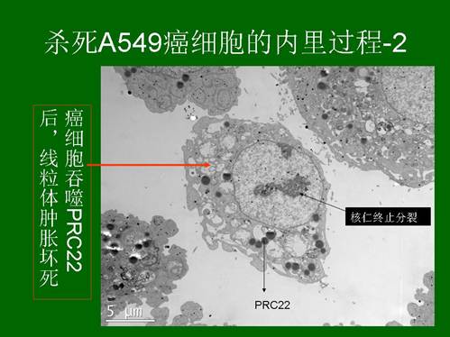 首页-人生就是博中国官方网站
