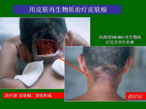 首页-人生就是博中国官方网站