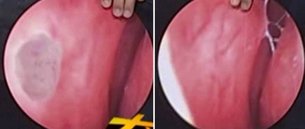 首页-人生就是博中国官方网站