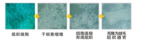 首页-人生就是博中国官方网站