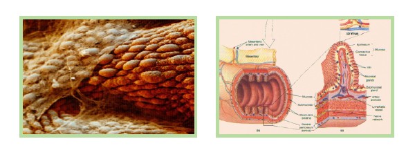 首页-人生就是博中国官方网站