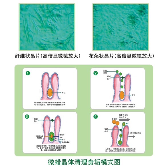 首页-人生就是博中国官方网站