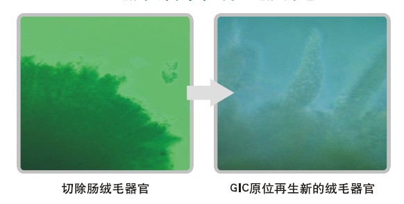 首页-人生就是博中国官方网站