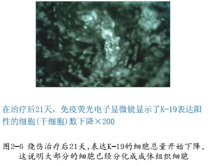 首页-人生就是博中国官方网站