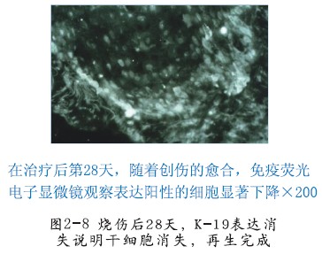 首页-人生就是博中国官方网站