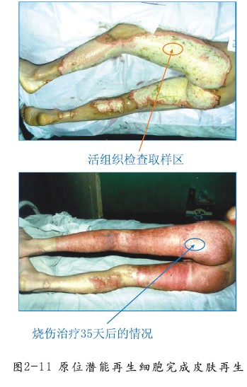 首页-人生就是博中国官方网站