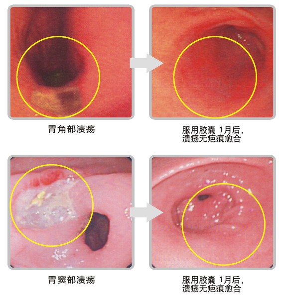 首页-人生就是博中国官方网站