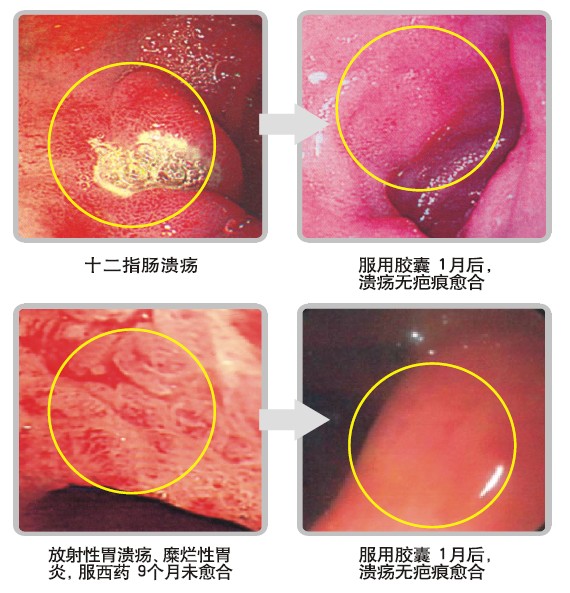 首页-人生就是博中国官方网站