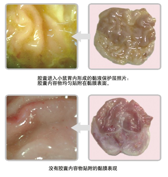 首页-人生就是博中国官方网站
