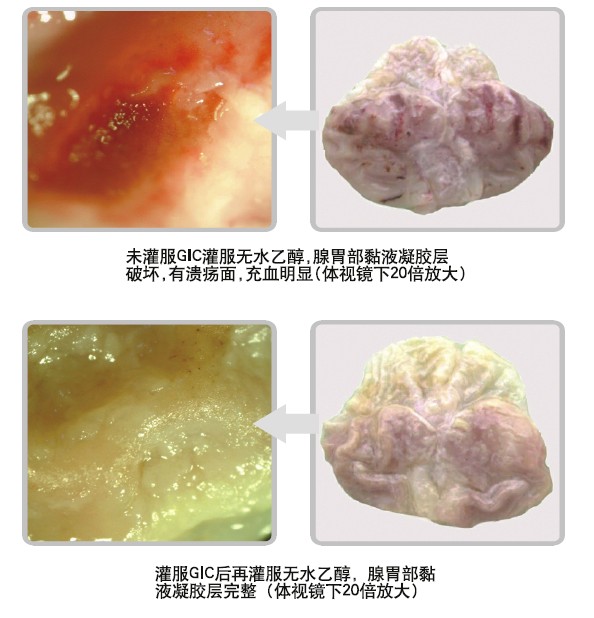 首页-人生就是博中国官方网站