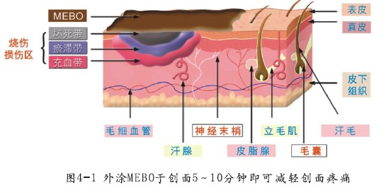 首页-人生就是博中国官方网站