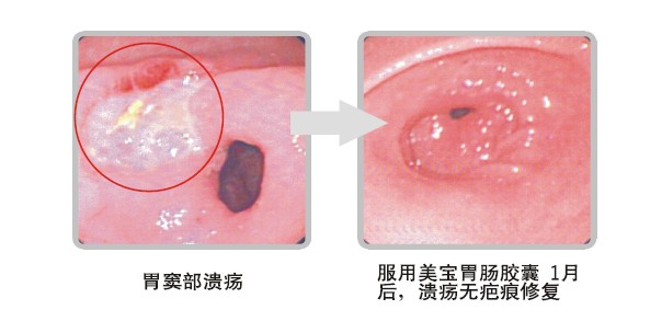 首页-人生就是博中国官方网站