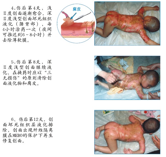 首页-人生就是博中国官方网站
