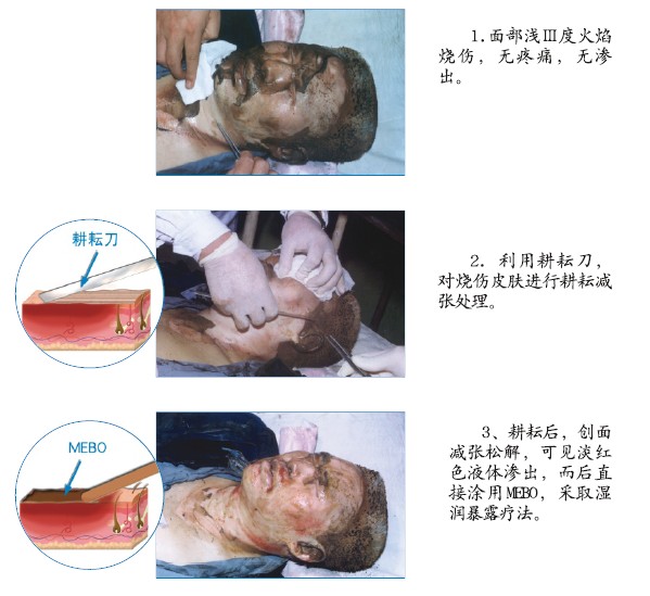 首页-人生就是博中国官方网站