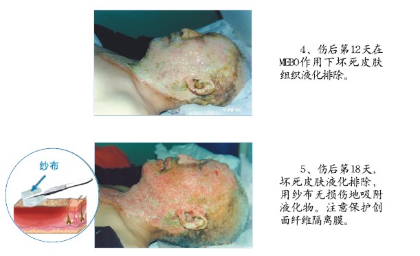 首页-人生就是博中国官方网站