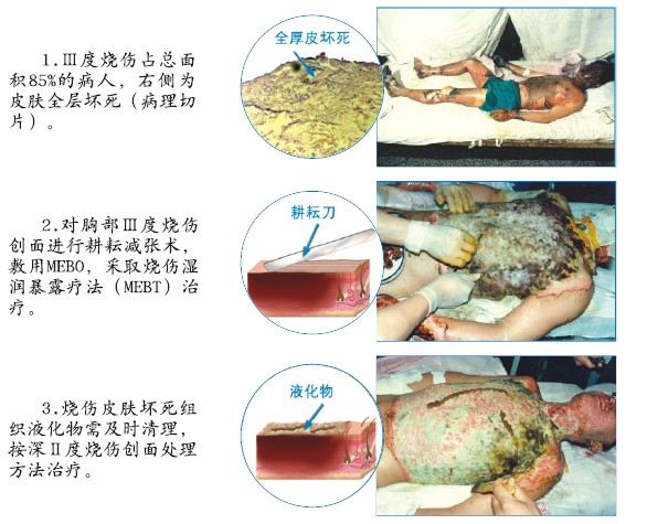 首页-人生就是博中国官方网站