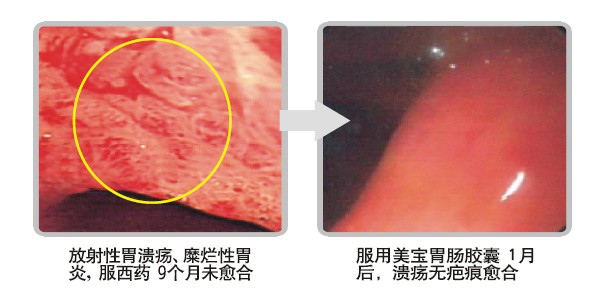 首页-人生就是博中国官方网站
