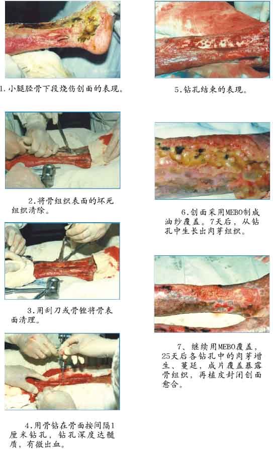 首页-人生就是博中国官方网站