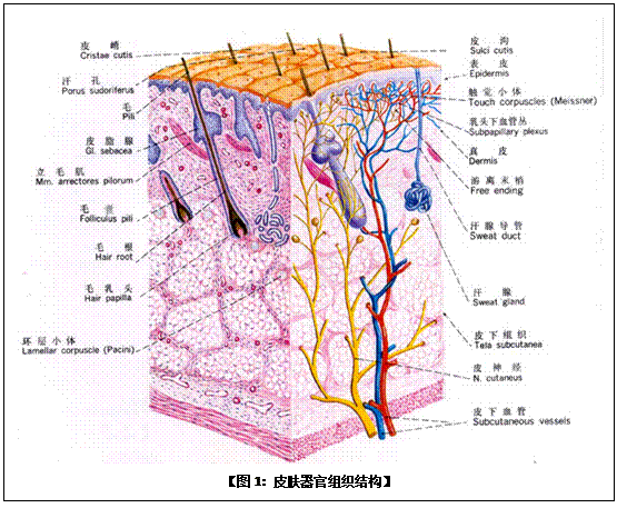 首页-人生就是博中国官方网站
