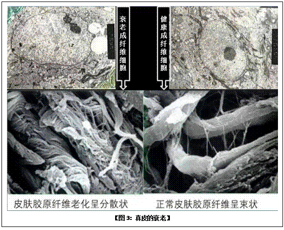 首页-人生就是博中国官方网站
