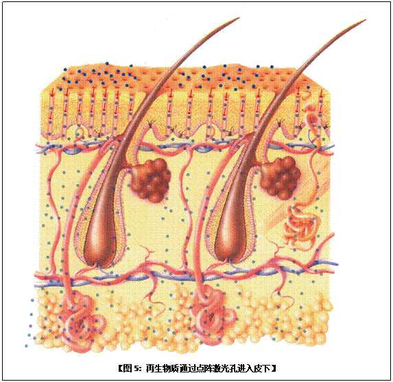 首页-人生就是博中国官方网站
