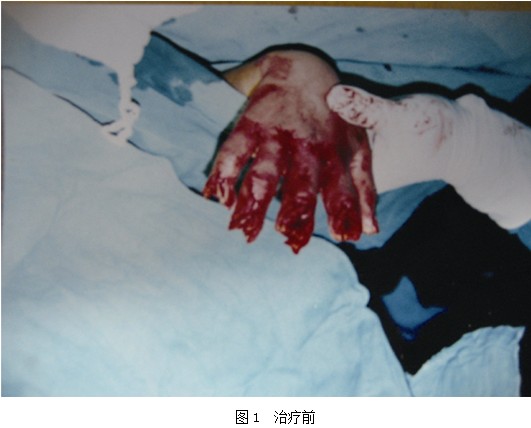 首页-人生就是博中国官方网站