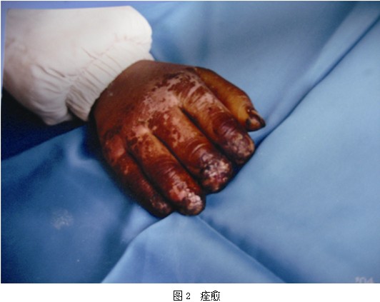 首页-人生就是博中国官方网站