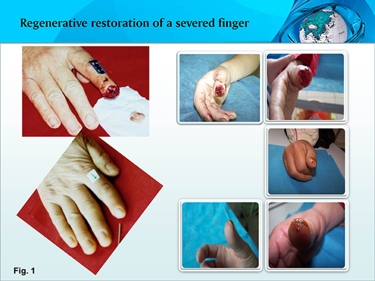 首页-人生就是博中国官方网站