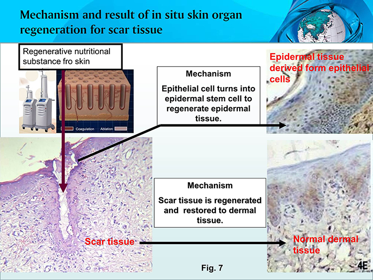 首页-人生就是博中国官方网站