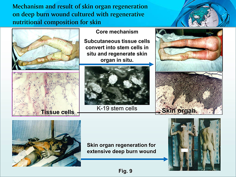 首页-人生就是博中国官方网站