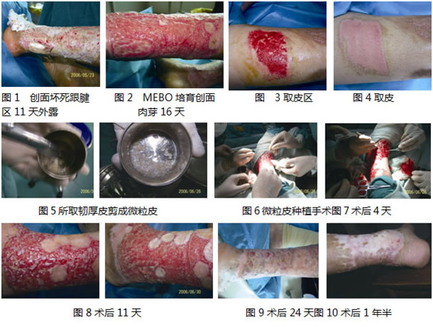 首页-人生就是博中国官方网站