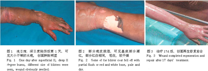 首页-人生就是博中国官方网站