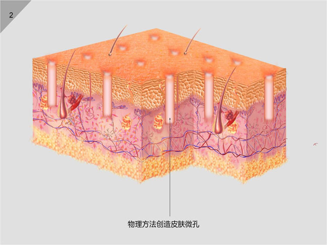 首页-人生就是博中国官方网站